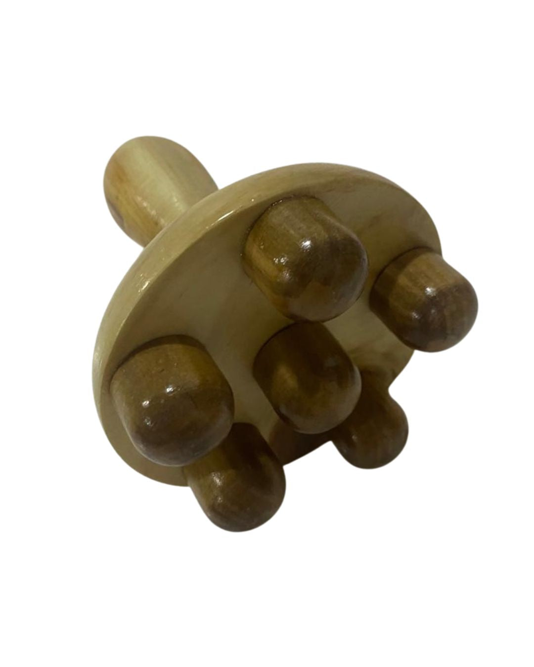 Champiñón Corporal